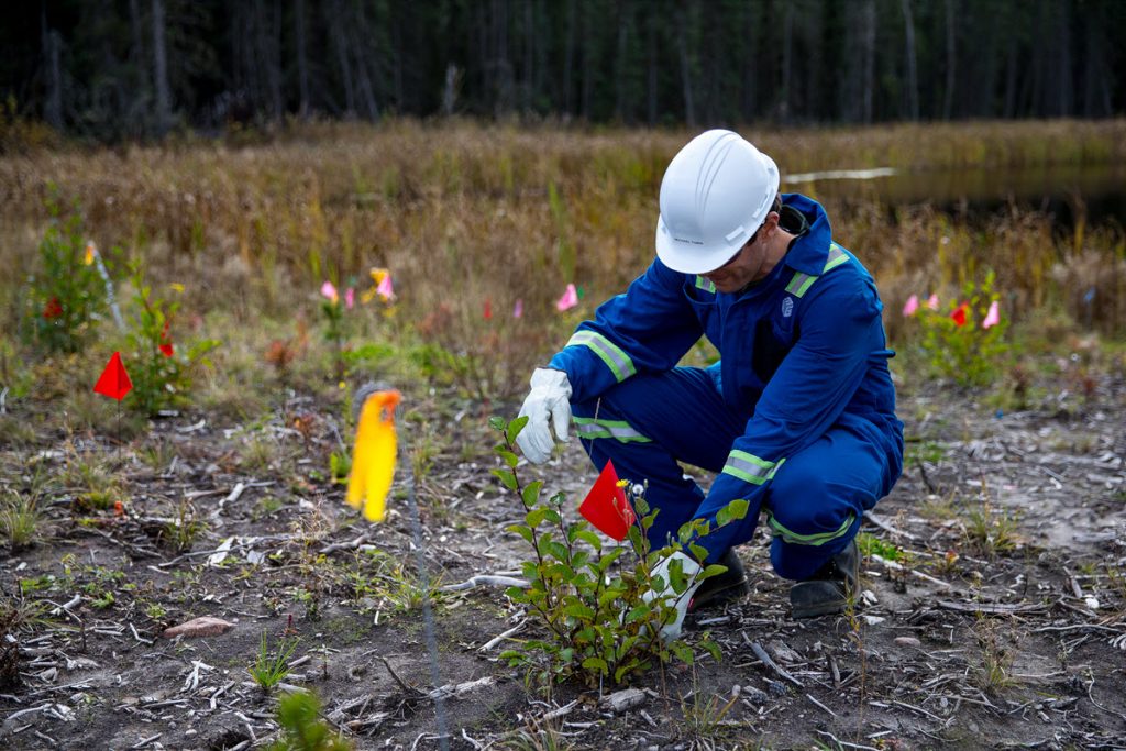 reclamation-1024x683